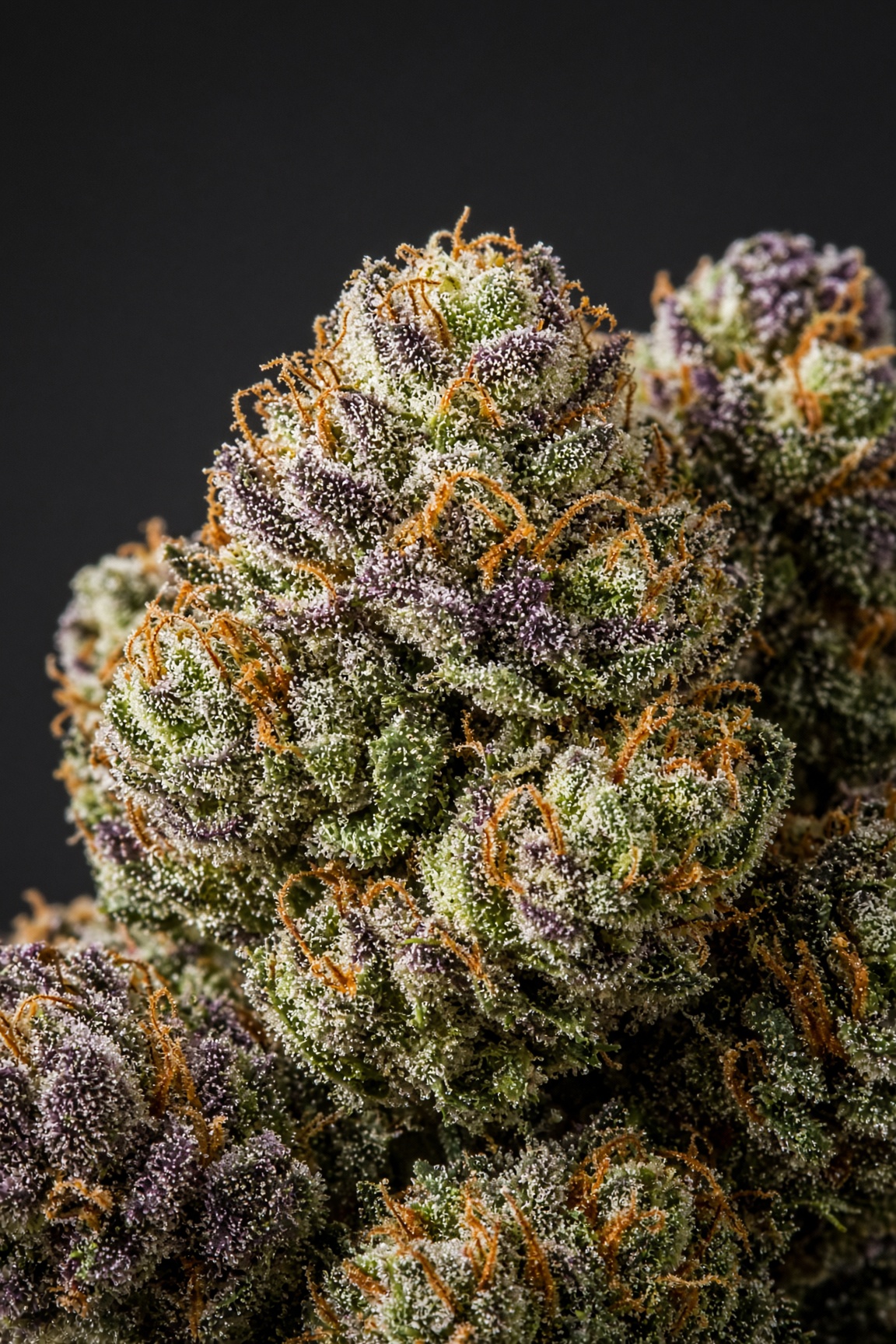Banana Punch