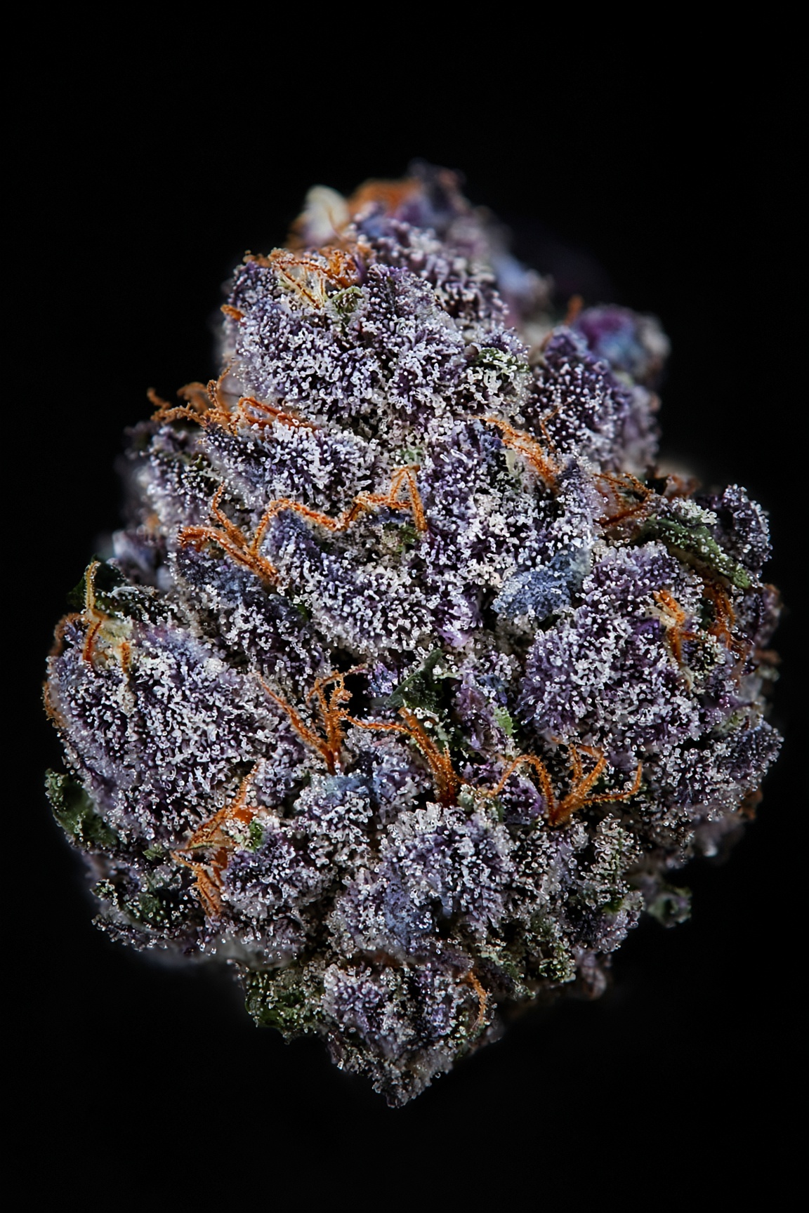 Blue Mystic