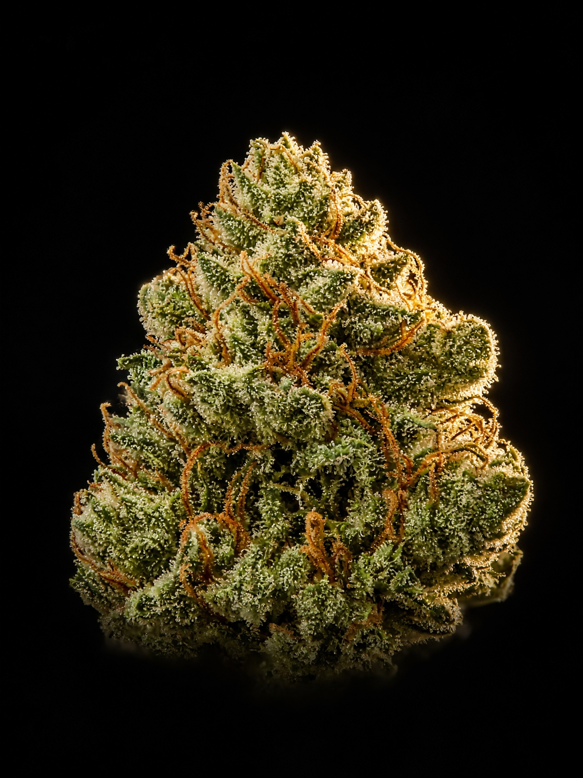 Skywalker OG